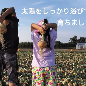 淡路島産の玉ねぎ　どっさりオンリー！
