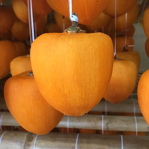 能登半島の里山で作られた「ころ柿」です。