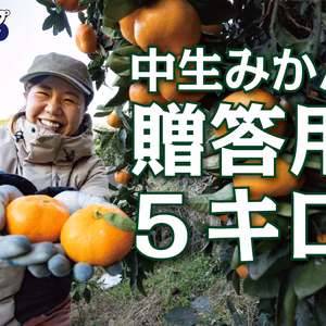 【濃厚な味わい】今が一番おいしい中生みかん（秀品）｜勝浦町産