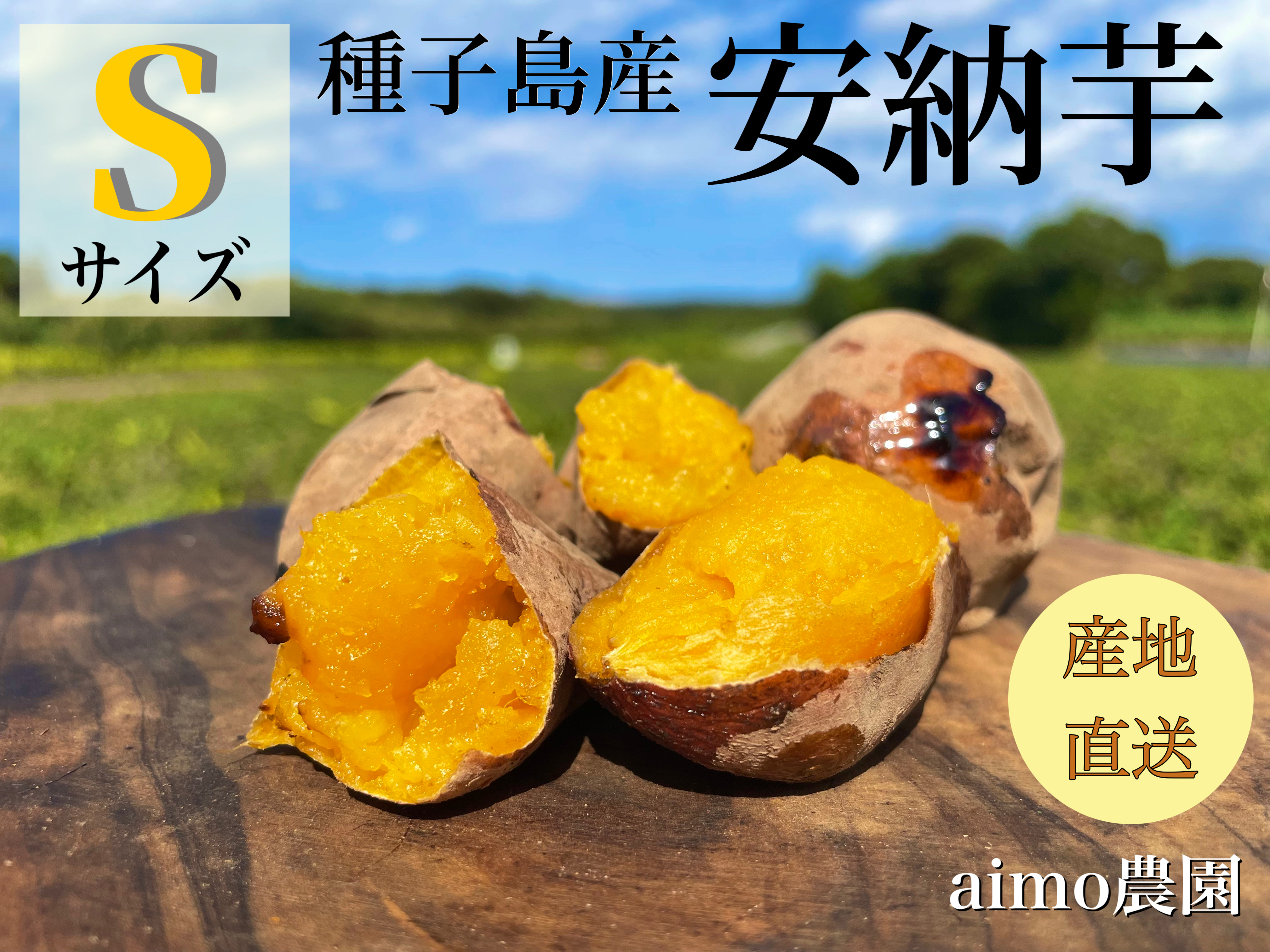 絶品】種子島産 安納芋 Sサイズ｜aimo農園｜さつまいもの商品