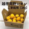 家庭用 越冬完熟レモン 瀬戸内産レモン S～2Lサイズ 【2㎏・5㎏・10㎏】