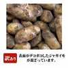 新じゃがいもメークイン(訳あり)無農薬　掘りたて10kg LMS混合サイズ土付き