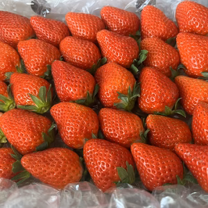 【5／11発送❤️母の日ギフト】ほのかちゃんで❤️ありがとう