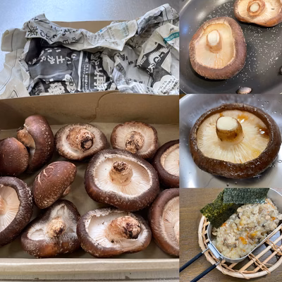 みんなの投稿の画像