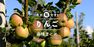 【39種類】りんごの品種を一覧紹介！産地直送で生産者から直接 ...