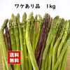 【送料無料】夏どりアスパラ　訳あり品１ｋｇ