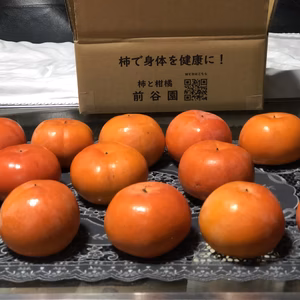 食べきり&おっそわけ小箱！【訳あり】小さな富有柿　15個入り