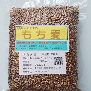 モチ麦500g ダイシモチ