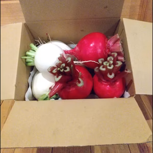 送料無料‼️青森県産寒締め赤カブ&白小カブ(6～12個入り)約3kg