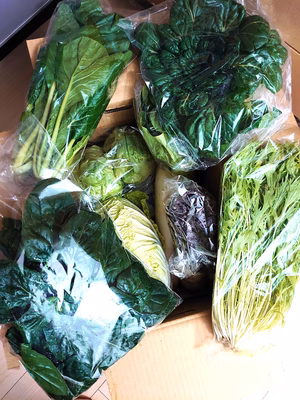 みんなの投稿の画像