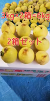 【11月上旬発送】山形県産 マルメロ(通称カリン) 3kg×2箱 加工用