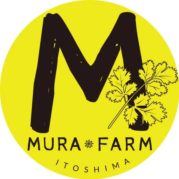 糸島産まろやかパクチー