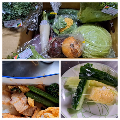 みんなの投稿の画像