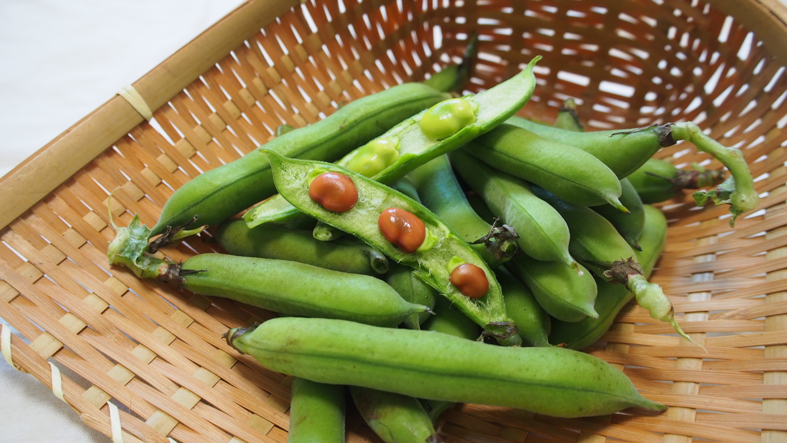 そら豆　M10kg 専用出品 そら豆 M10kg 専用出品 そらまめ様 専用出品