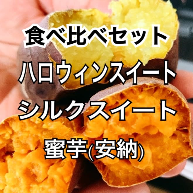 さつまいも ハロウィンスイート シルクスイート 蜜芋 安納 農家漁師から産地直送の通販 ポケットマルシェ