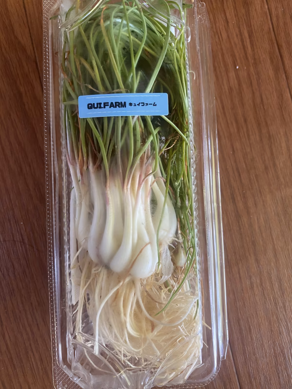 宮古島から"島ラッキョウ"30本