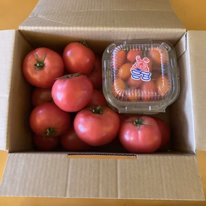 甘さはじける　#トマト　#ミニトマト　詰め合わせ　60サイズ