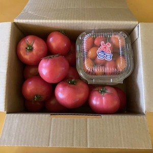 甘さはじける　#トマト　#ミニトマト　詰め合わせ　60サイズ