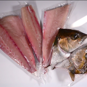 味に自信あり!カンパチ(養殖)三枚おろし真空加工済み