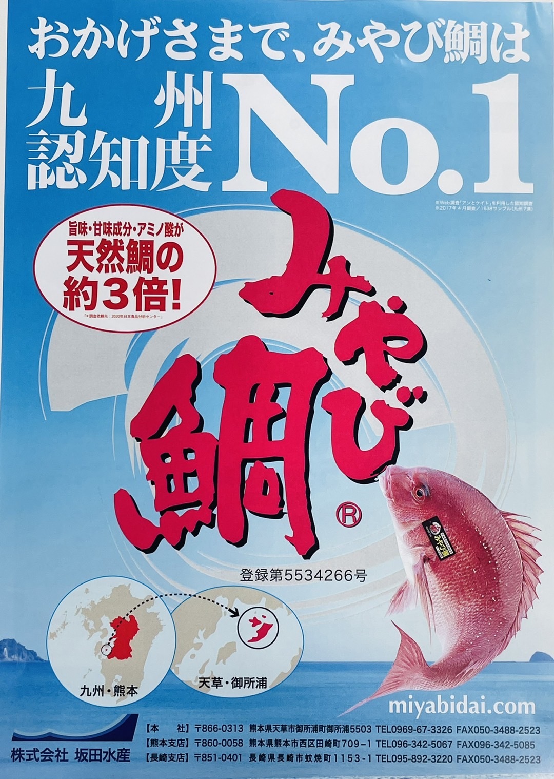 食品サンプル 鯛 切り身 時間指定不可 切り身