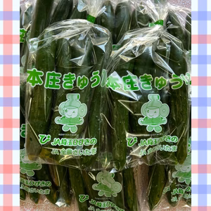 埼玉　農家直送　きゅうり　朝どりきゅうり　ハウスきゅうり　キュウリ