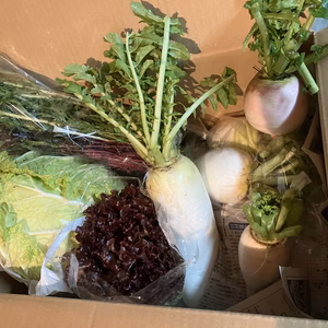 【福袋2023】はるかとシャキシャキ冬野菜お得な10キロ