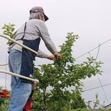 松澤万里子 | モ/松澤農園