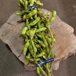 令和4年産京都丹波黒枝豆 枝付き2kg