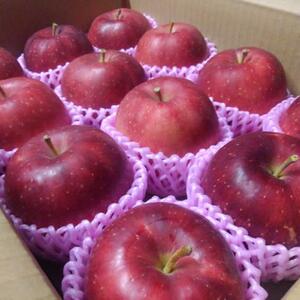 《希少品種"紅ロマン"》ご贈答品