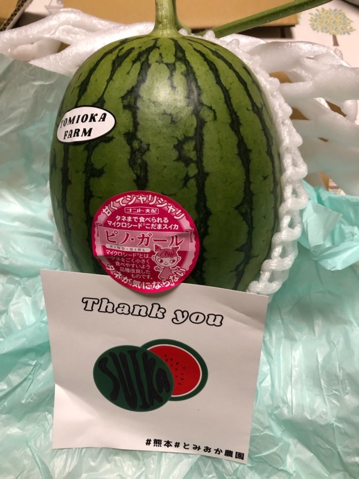 スイカ　マクドナルド　ラマになった王様　コンプリートセット スイカ様専用 スイカ マクドナルド ラマになった王様 コンプリート