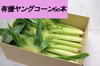採れたて！サクッと甘い。有機ヤングコーン [たっぷり60本!!]