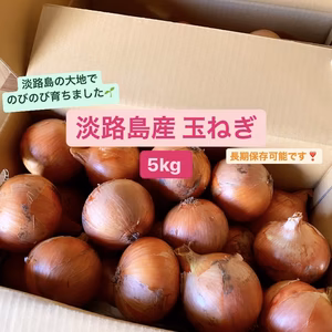 旨味ぎゅーっと✨淡路島産 玉ねぎ 5kg【長期保存可◎】