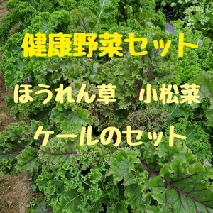 健康野菜セット【ほうれん草、ケール、小松菜のセット】