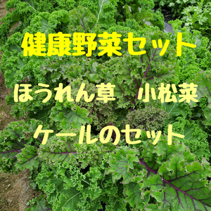 健康野菜セット【ほうれん草、ケール、小松菜のセット】