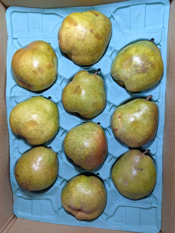 訳ありラ・フランス