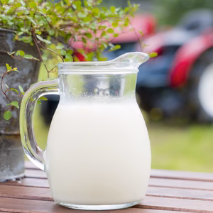 日本で唯一⁉︎殿さまが搾る牛乳