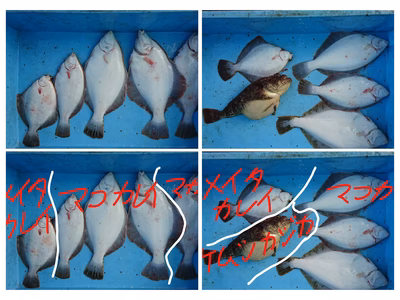 みんなの投稿の画像