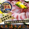 【一流割烹料理店御用達】日本海ブランド"天然国産"活き〆ぶり刺身＆ぶりしゃぶ用