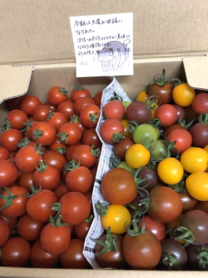 みんなの投稿の画像