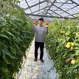 佐藤圭吾 | 佐藤トマト農園