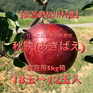 濃厚！完熟！りんご三兄弟の長男坊！ 安曇野松川村産【秋映(あきばえ)】5kg家庭