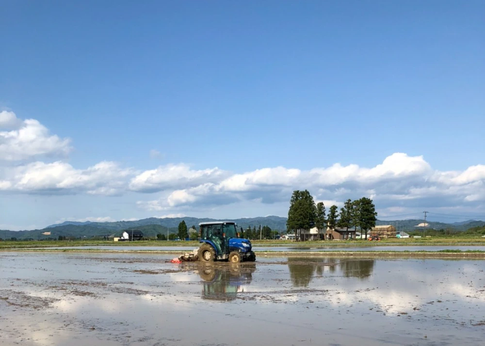 【新米はえぬき 精米】【令和5年秋収穫】山形県置賜飯豊産　特A23回