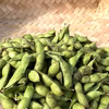 〈解禁期・クール〉'25丹波篠山黒枝豆さや10/11(土)〜10/17(金)