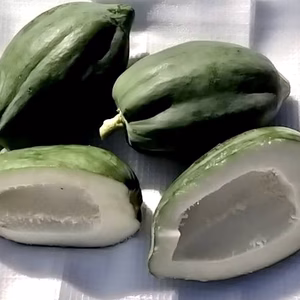 旬の健康野菜！青パパイヤ