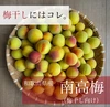 【送料無料】　梅干しといえばコレ！ 和歌山県産　南高梅  Lサイズ以上