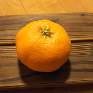 甘平かんぺい～プリプリ極上食感～（4kg 家庭用）