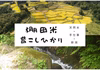 純棚田米　昔こしひかり新米5ｋｇ　うまい米の産地新潟県一之貝産