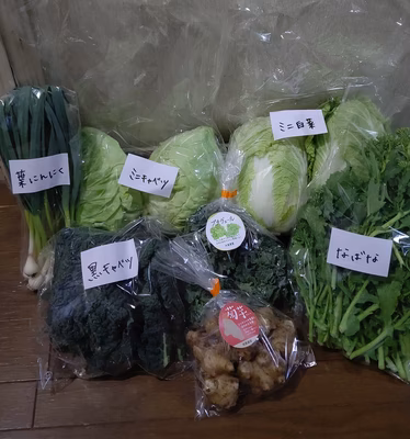 みんなの投稿の画像