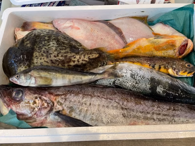 みんなの投稿の画像