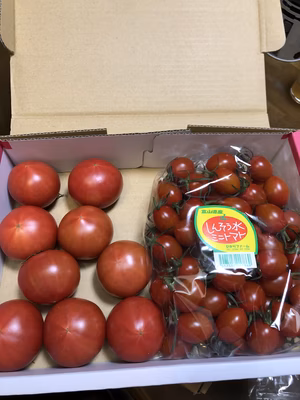 みんなの投稿の画像